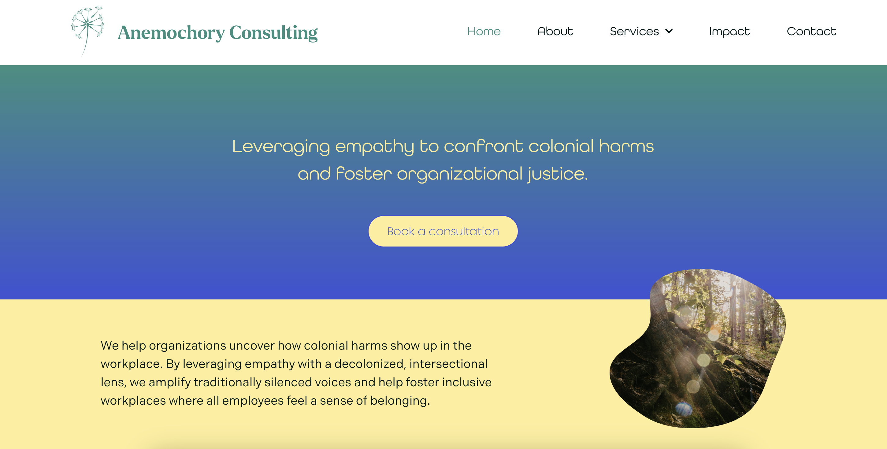 Anemochory Consulting website home page, created by frances may design